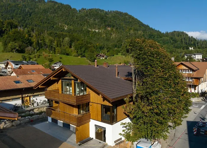 Moderne Neubauwohnung In Wilderswil